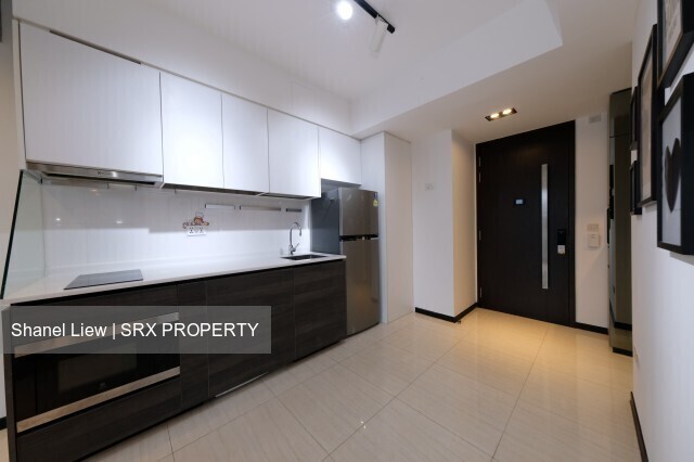Sims Urban Oasis (D14), Condominium #489781121